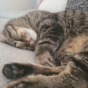 Meet your Posher, Naomie